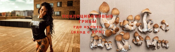 наркотики Ветлуга