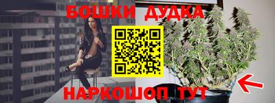 ALPHA PVP Кимры