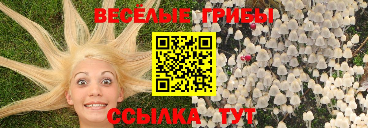 Заинск  Псилоцибиновые грибы мухоморы  Вход с VPN 