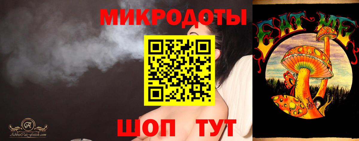 Галлюциногенные грибы Psilocybine cubensis Заинск